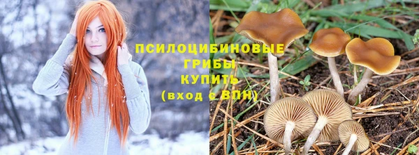 спайс Ростов