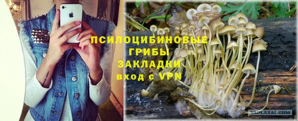 амф Абаза