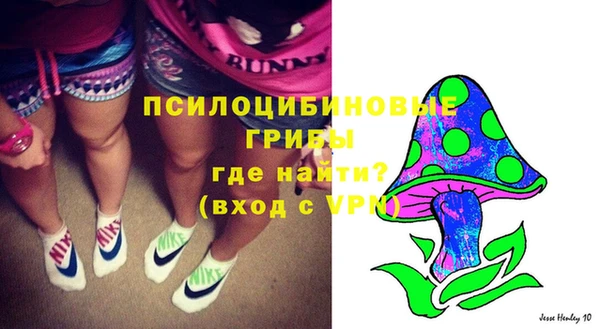 амф Абаза