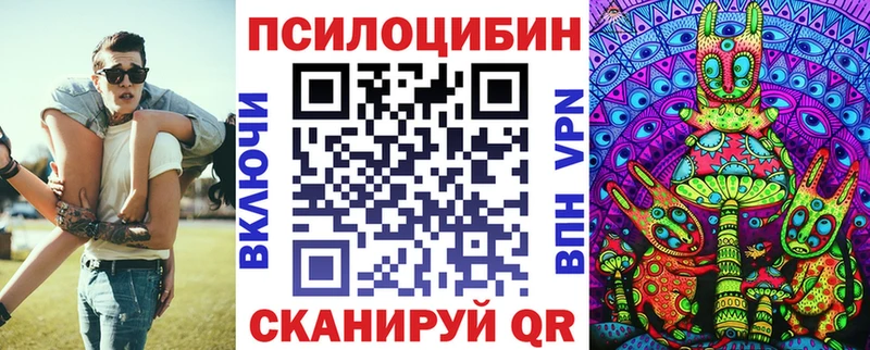 MEGA ТОР  Сафоново  Псилоцибиновые грибы Psilocybine cubensis 