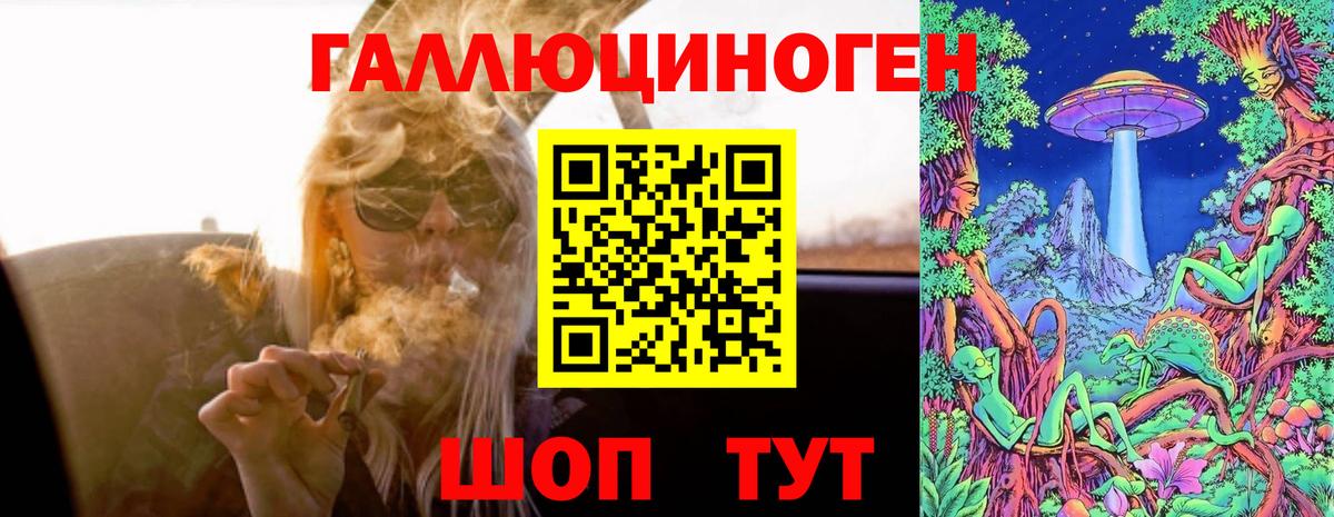 Псилоцибиновые грибы Psilocybine cubensis  Вход с VPN  Сафоново 
